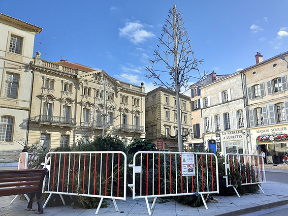 assets/images/competences/Déchets/DMA 2020/PAV Sapins 2023 place mairie arles web.jpg